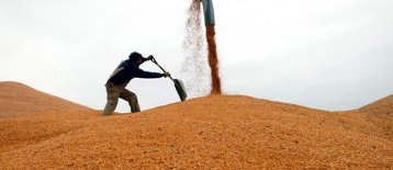 Russia may resume grain interventions
