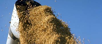 China soy imports plummet to lowest in three months