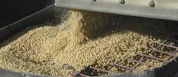 Global 2010/11 soy consumption to exceed forecast