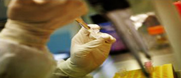 Japanese pig farmers plan FMD prevention project