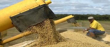 China to sign soy deals with US