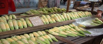 World Bank warns of fluctuating food prices