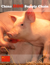 China Swine & Pork Products - Industry Supply Chain Evaluation