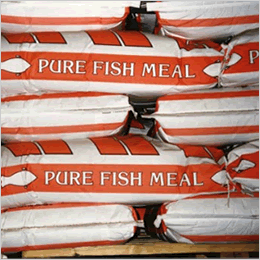 Fishmeal gets scarce, but so does soy