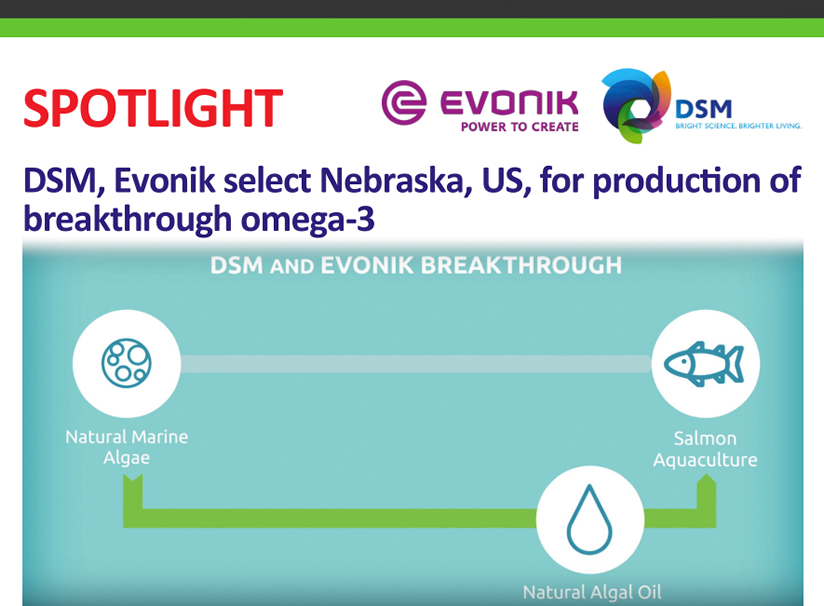 eFeedLink - DSM, Evonik select Nebraska, US, for production of breakthrough  omega-3